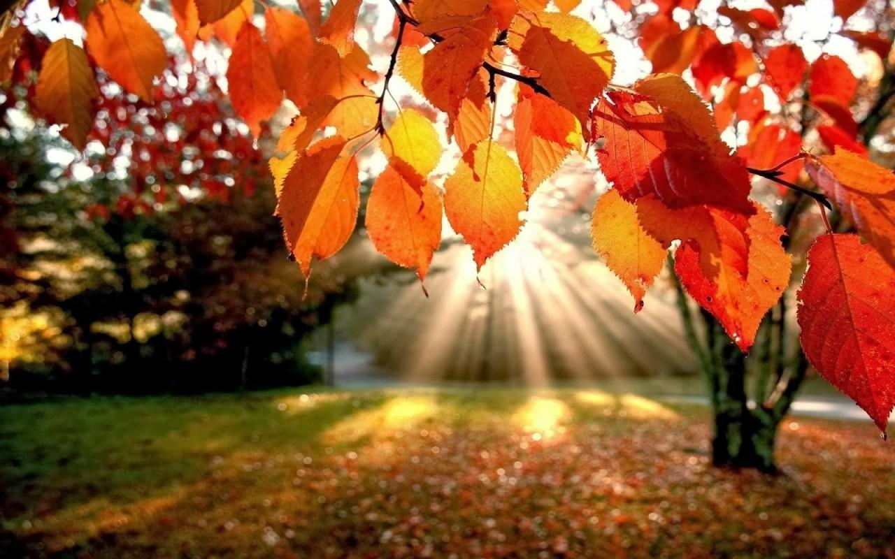 Herbstsonne (Quelle romtd.com)