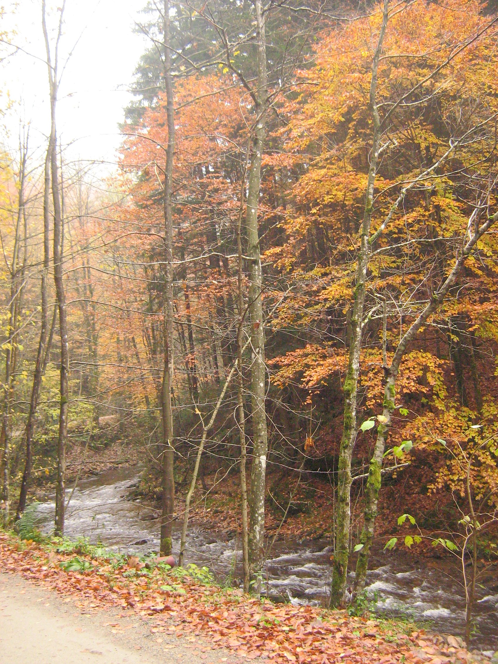 Herbst Herbst