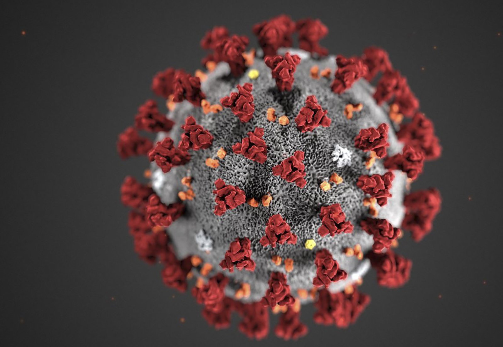 Corona-Virus Corona-Virus